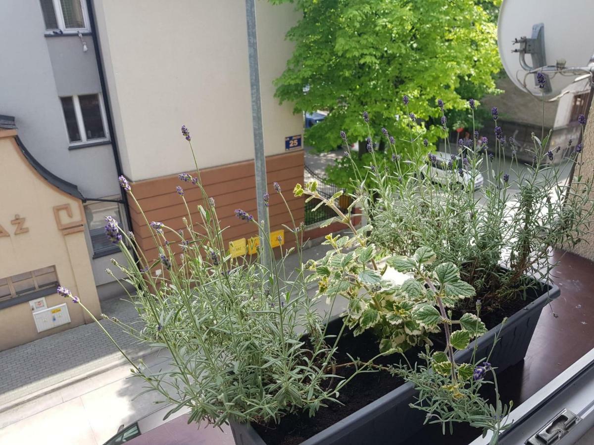 Przytulna I Przestrzenna Garsoniera- Centrum Tarnów Eksteriør bilde